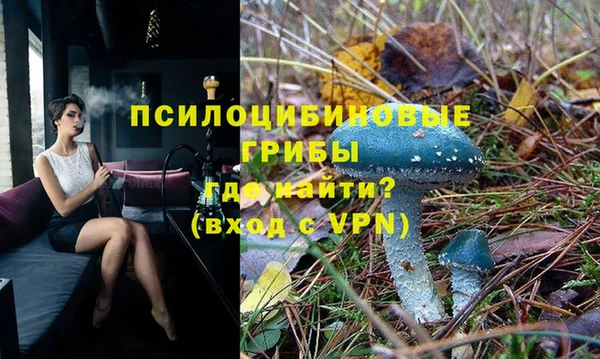 эйфоретик Алексин