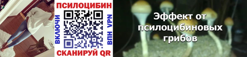 Псилоцибиновые грибы MAGIC MUSHROOMS где найти Черноголовка