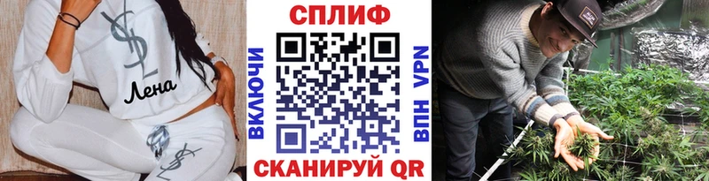 Бошки марихуана индика  закладка  Черноголовка 